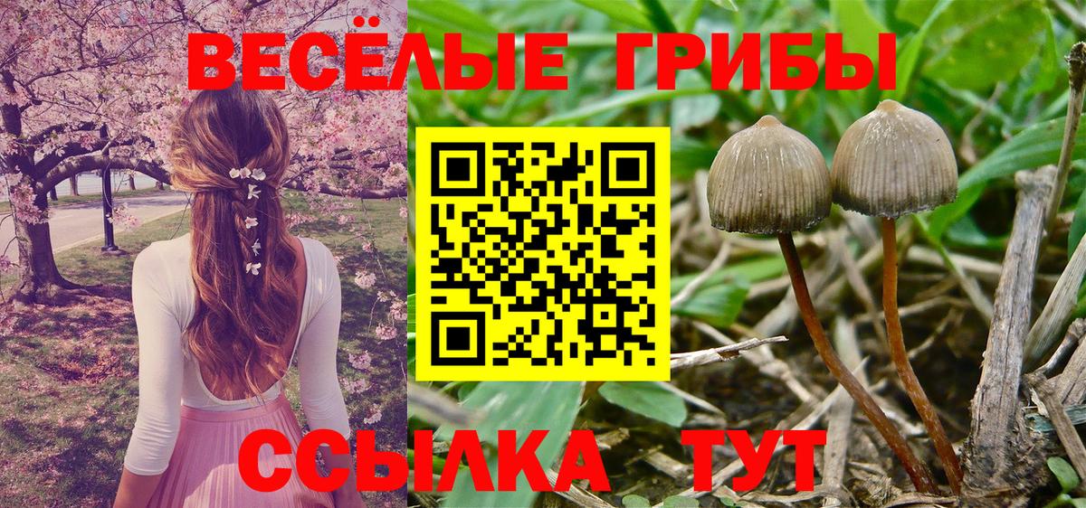 купить закладку  Галлюциногенные грибы Magic Shrooms  Фурманов  Вход с VPN  Псилоцибиновые грибы прущие грибы 