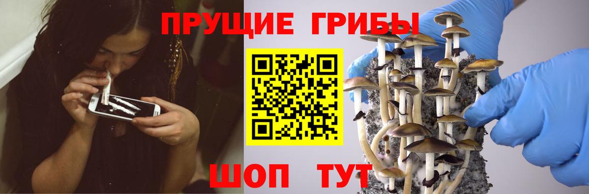 Псилоцибиновые грибы MAGIC MUSHROOMS Фурманов